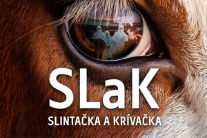 Slintačka a krívačka v Maďarsku a na Slovensku. Majú význam zákazy a nariadenia,...