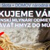 Slovenskí mlynári odmietajú pridávanie hmyzu do múky