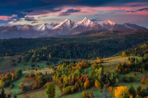 Mesto Vysoké Tatry: Radi by sme Vás informovali o pripravovaných zmenách v cesto...