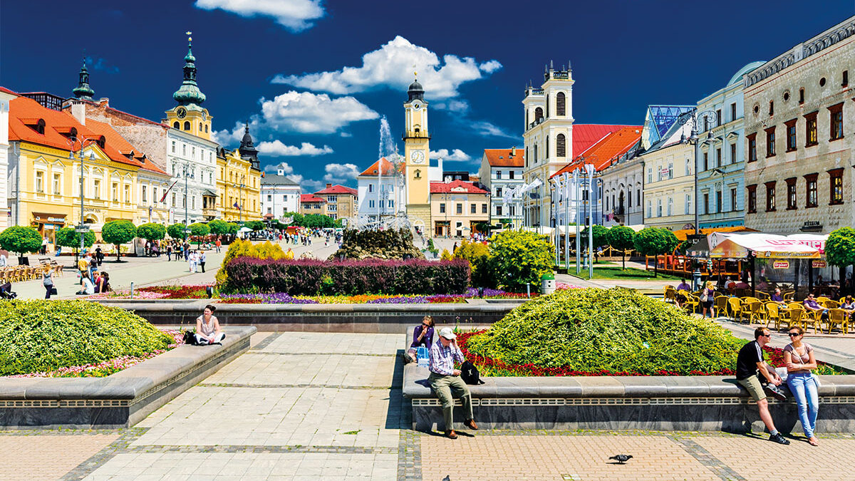 Mesto Banská Bystrica: Štatistické zisťovanie o zdraví (EHIS)