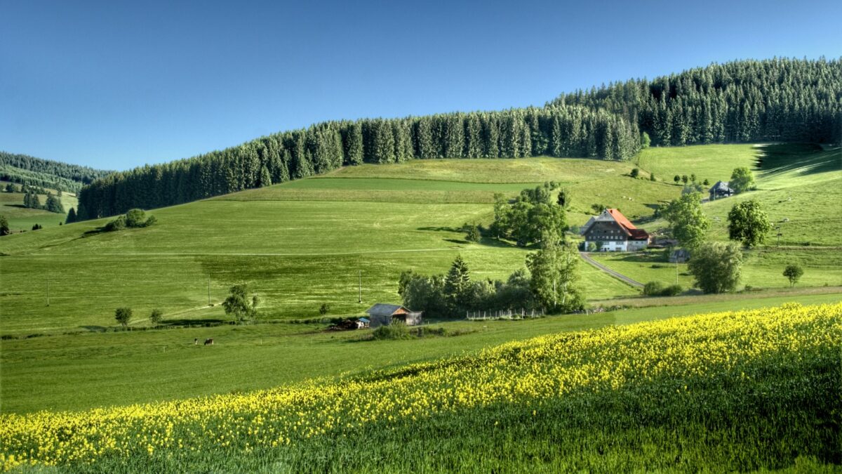 Objavte krásy Slovenska: Tipy na nezabudnuteľné výlety