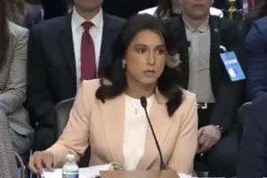 Americké spravodajské agentúry v marci 2025 informovali, že Irán nevyvíja jadrov...