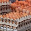 Prepuknutie salmonely v USA spôsobilo stiahnutie 1,7 milióna vajec z trhu