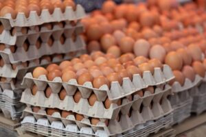 Prepuknutie salmonely v USA spôsobilo stiahnutie 1,7 milióna vajec z trhu
