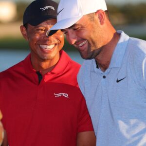 Štatistika Scottieho Schefflera a Tigera Woodsa na turnaji Open Championship je ...
