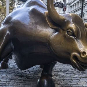 Podľa popredného analytika z Wall Street sa začal nový býčí trh, ktorý je stále ...
