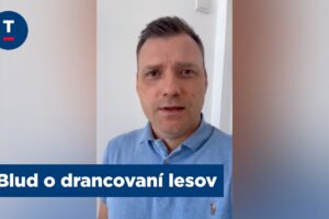 Taraba: Blud o drancovaní lesov