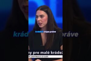 Krádeže nestúpajú a ak by stúpali, môže za to opozícia – to je koaličná “l...