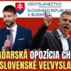 Viktorín: 3 január. Protest  pred slovenským veľvyslanectvom v Budapešti. Spravo...