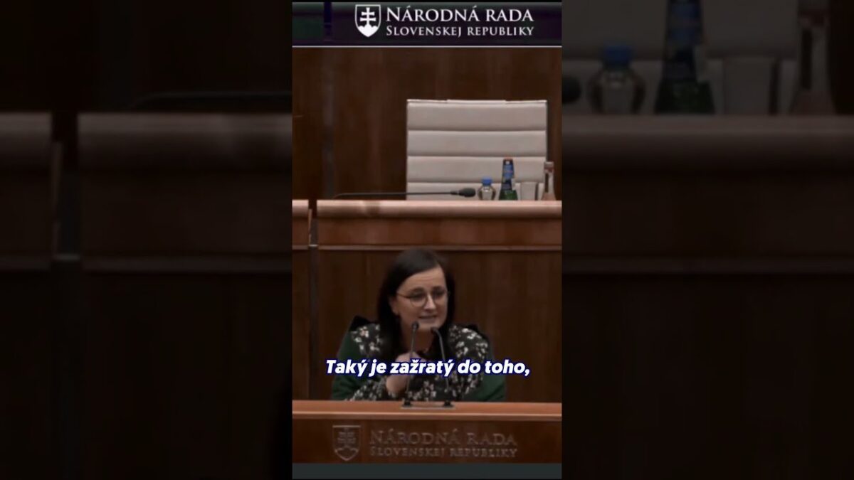 Parlament rieši, aby Tibor Gašpar neprišiel o funkciu, ani keby skončil vo väzbe | Zuzana MESTEROVÁ