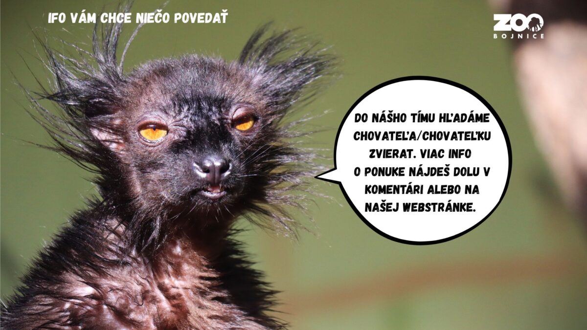 ZOO BOJNICE: HĽADÁME CHOVATEĽA/CHOVATEĽKU