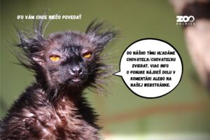 ZOO BOJNICE: HĽADÁME CHOVATEĽA/CHOVATEĽKU