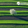 Mesto Hriňová: Milí Hriňovčania,