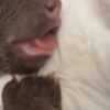 ZOO BOJNICE: AKO SME PREŽILI NOC?