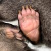 ZOO BOJNICE: Napriek všetkej snahe…