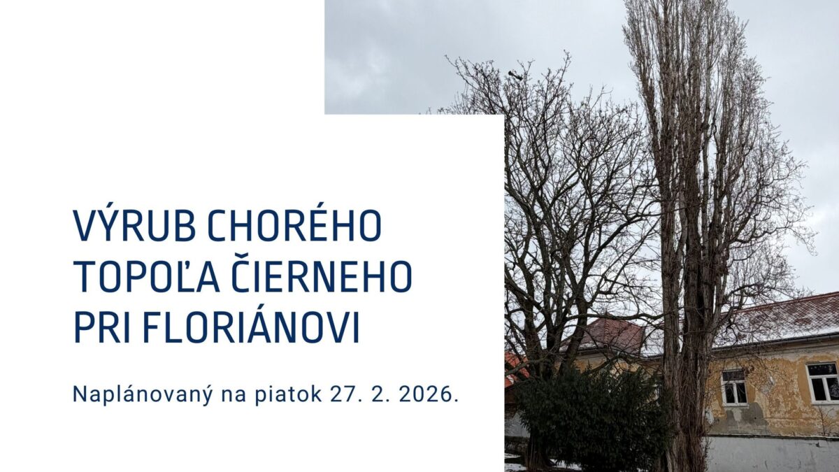 Mesto Modra: VÝRUB CHORÉHO STROMU V PARKU PRI FLORIÁNOVI Z BEPEČNOSTNÝCH DÔVODOV