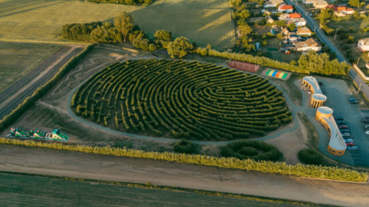 Top foto dňa (9. jún 2026): Willkov park, nočný vlak ZSSK, Karáčoniho palác a Celoslovenské dni poľa